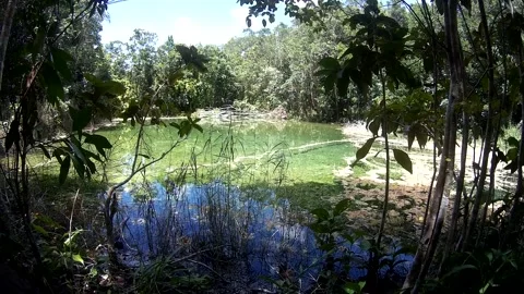 Pond in the forest in Thailand Stock Footage 246591228