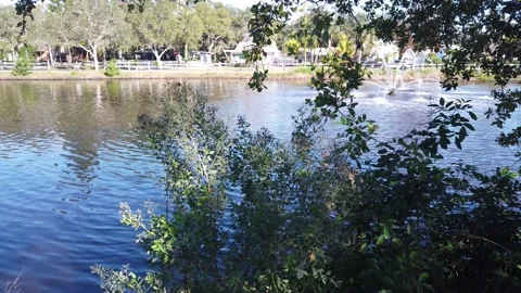 Pond Fountain Daytime Reflection Video stock 231734767