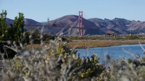 Pond in Front of Bridge Stock Footage 47489413