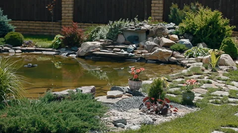 A pond in the garden Vidéo 64540715