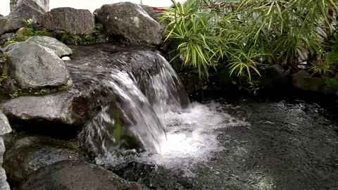 Pond in the garden with mini waterfall Stock Footage 231331106