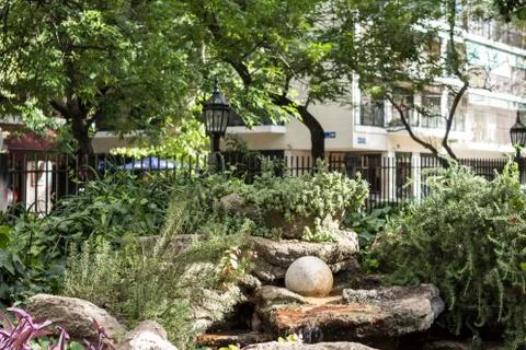 Pond in garden Stock Photos