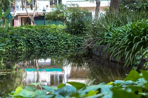 Pond in garden Stock Photos