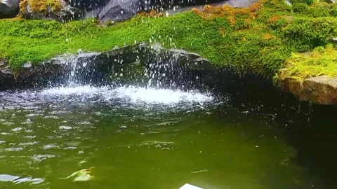 Pond garden with small flowing waterfall Stock Footage 264139989