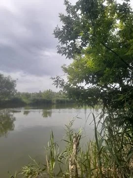 A pond with green vegetation Foto stock