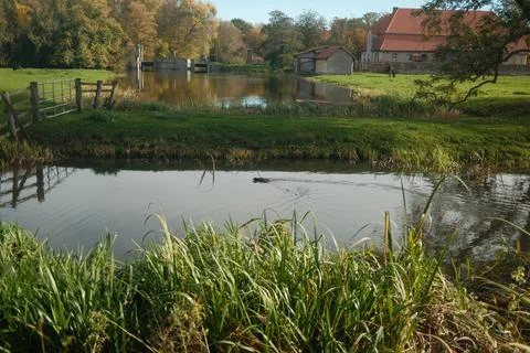 A pond with a house in the background Stock Photos