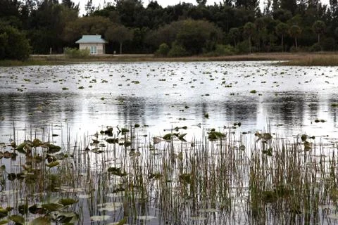 Pond with House Stock Photos