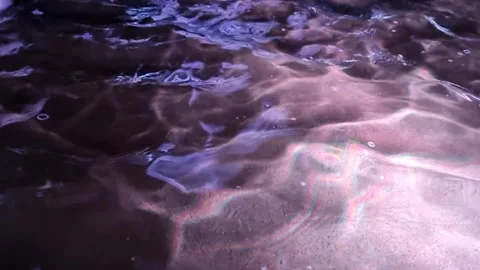 Pond with illumination Stock Footage 334562039