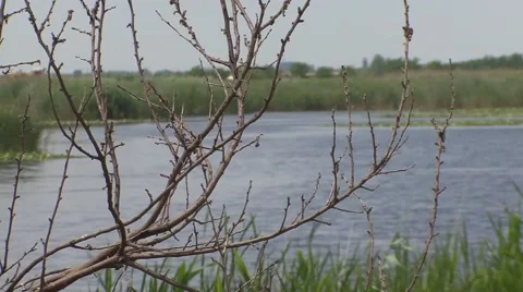 Pond for irrigation of soybean Stock Footage 41133267