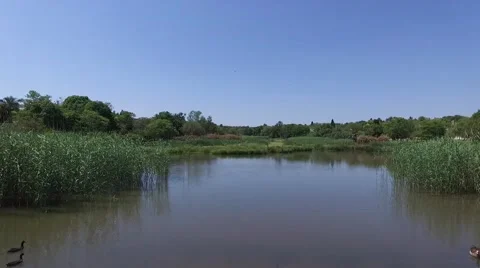 Pond in Johannesburg Stockbeeldmateriaal 59657700