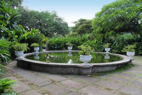 Pond landscape Stock Photos