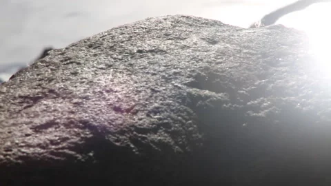 POND LENS FLARE Stock Footage 181144980