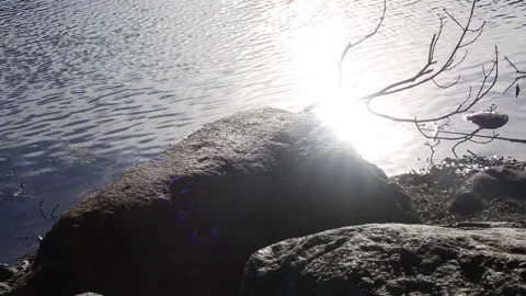 POND LENS FLARE Stock Footage 181145308