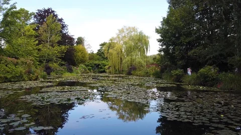 Pond with lilies in Giverny Stock Footage 116680139