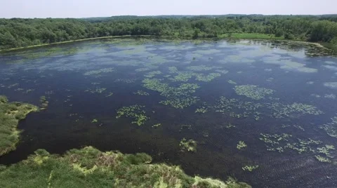 Pond with Lilly Pads Drone Stock Footage 64558422