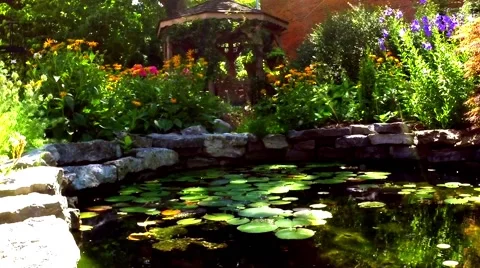 Pond with lily pads No.1 Stock Footage 45405852