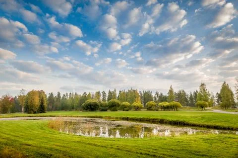 Pond in meadow Фото
