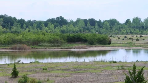 Pond Medium Shot Stock Footage 136640016
