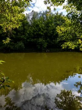 A pond in the middle of a wooded area surrounded by trees Stock Photos