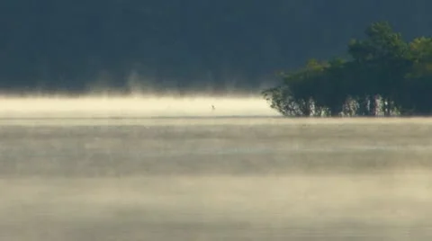 Pond mist rising; 2 Stock Footage 8884353
