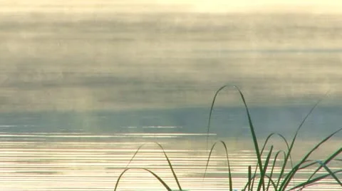 Pond mist rising; 3 Stock Footage 8884914