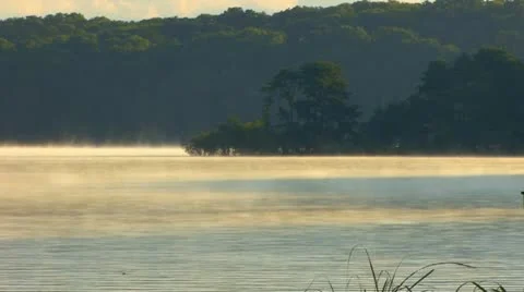 Pond mist rising Stock Footage 8884323