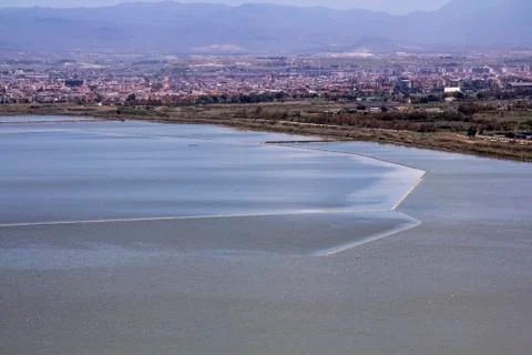 Pond of Molentargius Stock Photos