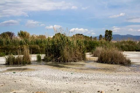 Pond of Molentargius Stock Photos