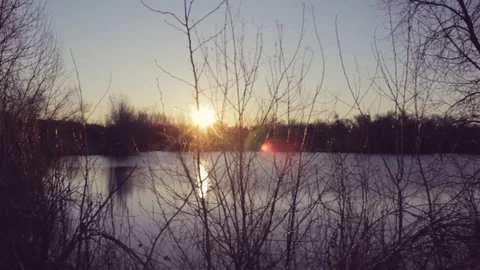 Pond in the Morning Video stock 85667531