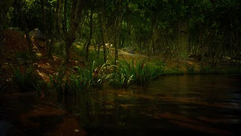 Pond in mossy green forest 스톡 일러스트