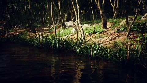 Pond in mossy green forest Illustrazione stock