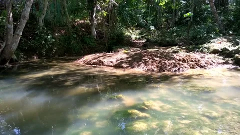 Pond on the Mountain Stock Footage 152362968