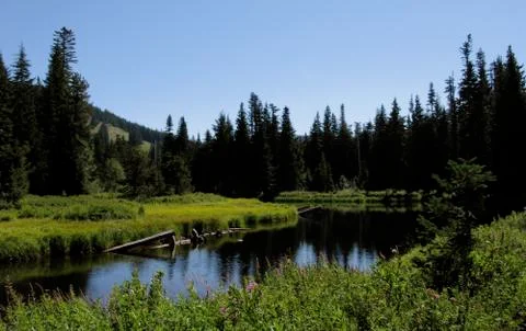 Pond in Mountain Meadow Stock Photos