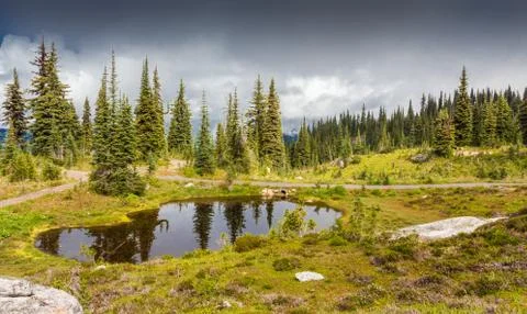 Pond on the Mountain Stock Photos
