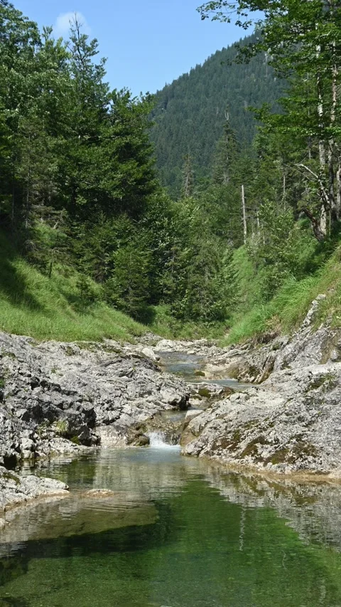 A pond from a mountain stream and a small waterfall in a forest, vertical Stock Footage 260875741