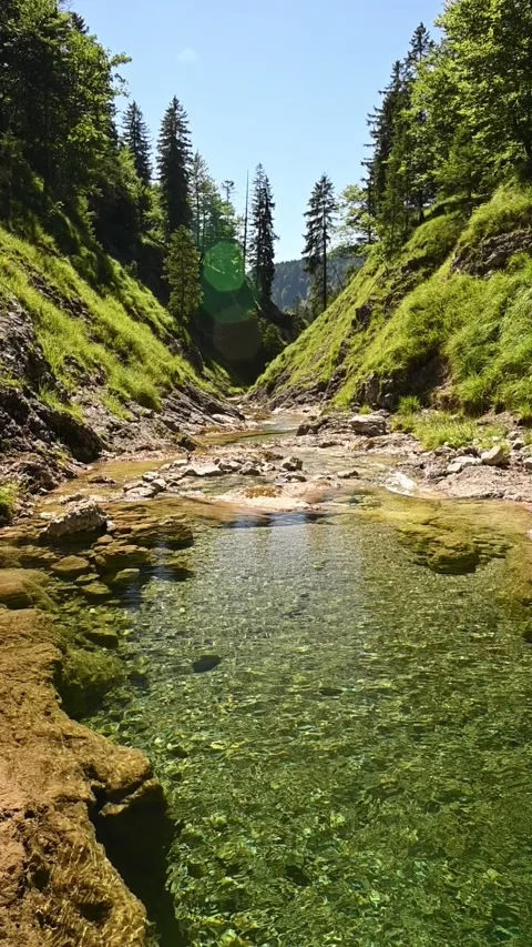 A pond from a mountain stream with clear water and stones, lens effects, slow-mo 스톡 동영상 260878920