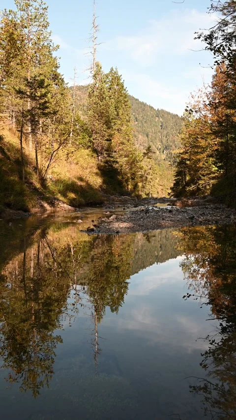 A pond from a mountain stream in a forest in autumn, autumn colors, vertical Stock-Footage 260925629