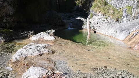 A pond of a mountain stream next to rocks and greens Video stock 260861897