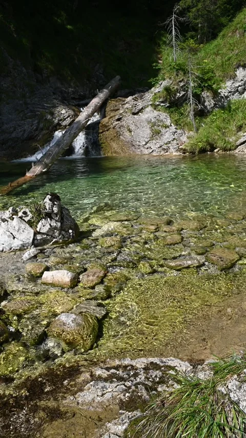 Pond of a mountain stream in the sun, next to a forest, vertical shot Stock-Footage 260880977