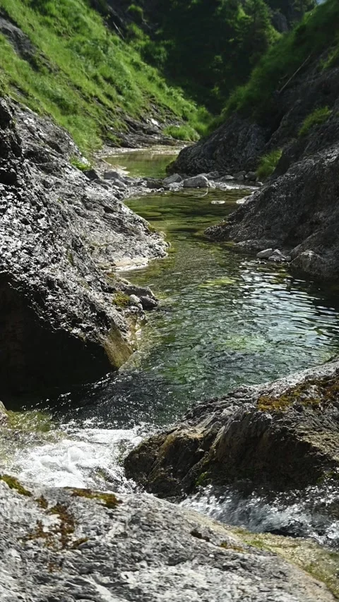 A pond from a mountain stream in a V-shaped gorge, verital shot, slow motion Video stock 260876546