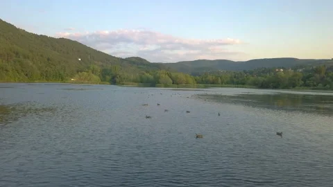 Pond Mountain View Ducks Nature Bulgaria Stock Footage 159506564
