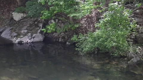 A pond in the mountains Video stock 306034126