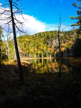 Pond in the Mountains 스톡 사진