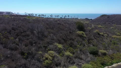 Pond next to the ocean beach with palm trees Stock Footage 221778697