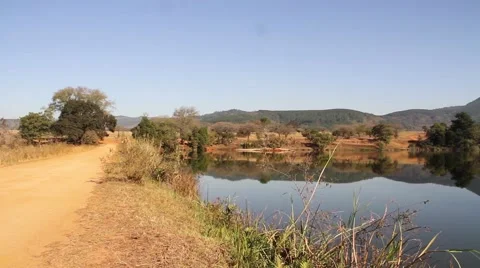 Pond next to a road Stock Footage 51768903