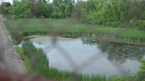 Pond Next To Train Tracks, Wide Shot, Slider, 4k Apple ProRes Stock Footage 196987059