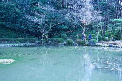 A pond with nice reflection on it Stock Photos