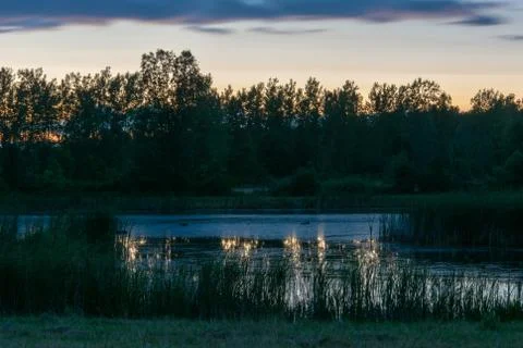 Pond Nightscape Reflections with Cloudy Sky Stock Photos