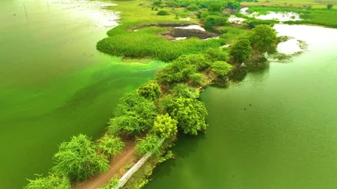 Pond -  Orbiting Shot By a Drone Stock Footage 254265014