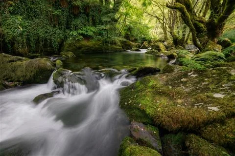 Pond Overflows between Mossy Rocks Foto stock